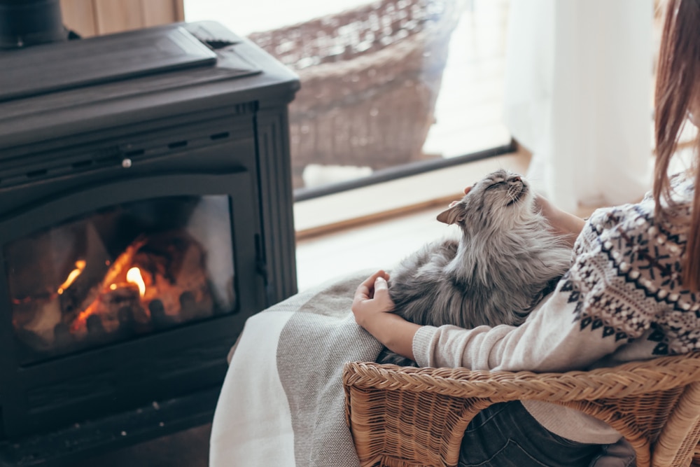 A person sits in a wicker chair by a lit fireplace, petting a fluffy gray cat on their lap. The scene exudes warmth and coziness, reminiscent of a veterinarian's gentle touch, with soft lighting and a calm atmosphere.