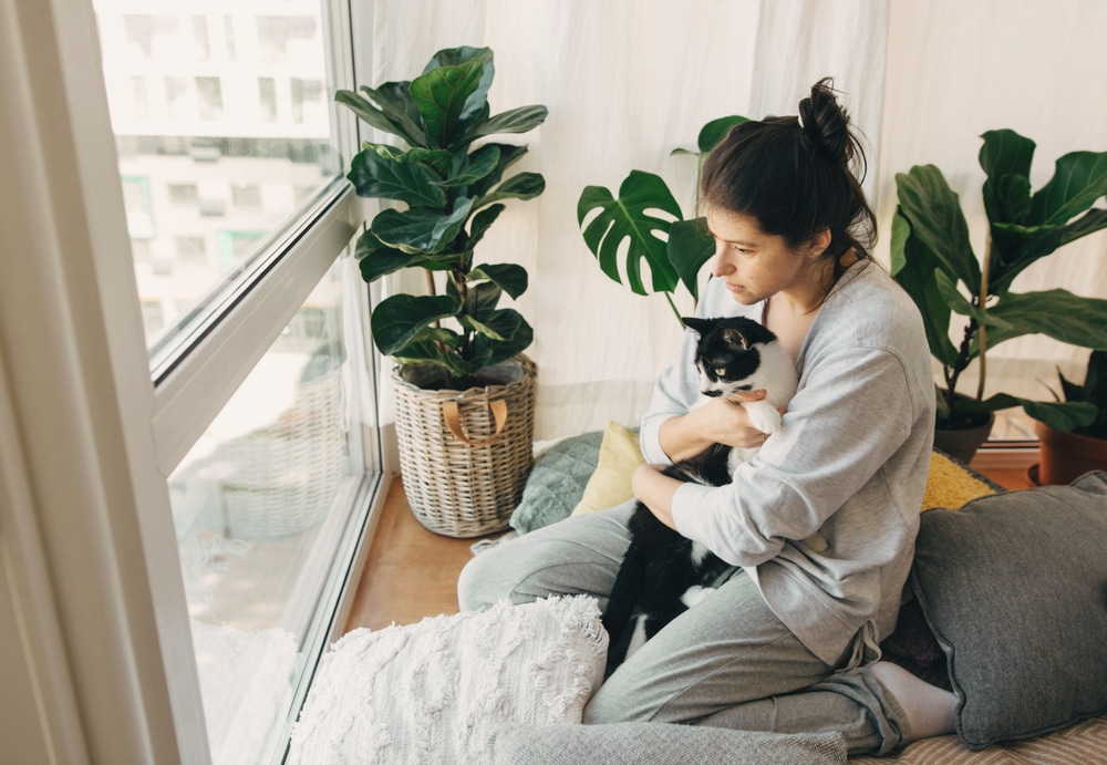 A person in casual gray clothing, possibly a veterinarian, sits by a large window holding a black and white cat. Surrounded by green plants in their cozy room, they gaze outside. The scene conveys a peaceful, contemplative mood, perhaps reflecting on their day's work at the vet clinic.