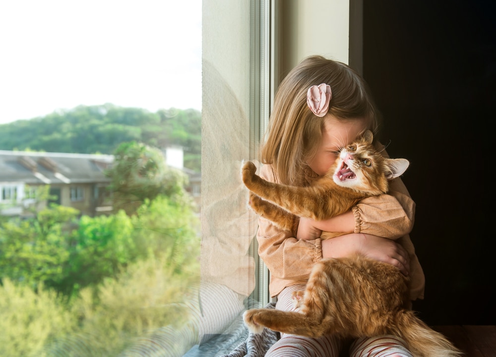A young girl sits by a window, cuddling a fluffy, ginger cat that seems playful or expressive. With dreams of becoming a vet, she watches the bustling city and lush trees outside. The girl wears a light top and sports a cute hair clip as she bonds with her future furry patient.