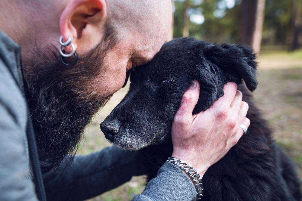 A man with a beard and earrings, possibly a veterinarian, tenderly touches foreheads with a black dog in the serene forest, gently holding its head. The scene beautifully conveys a sense of deep affection and connection.