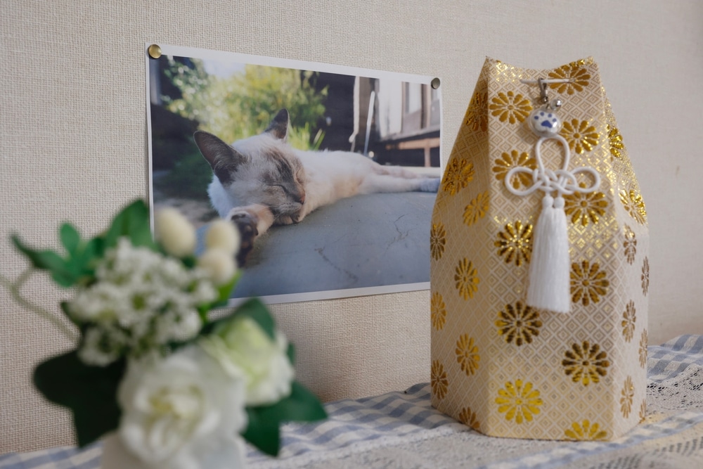 A photo of a sleeping cat is displayed on a wall, reminiscent of peaceful moments at the vet. Nearby, an ornate, gold-patterned container sits on a table covered with a checkered cloth. A small arrangement of white flowers is in the foreground.