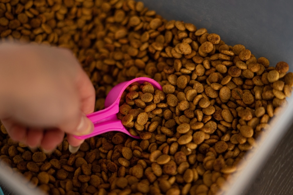 A hand holding a pink scoop gathers brown kibble from a large container filled with dry pet food, as recommended by the vet for optimal pet health.