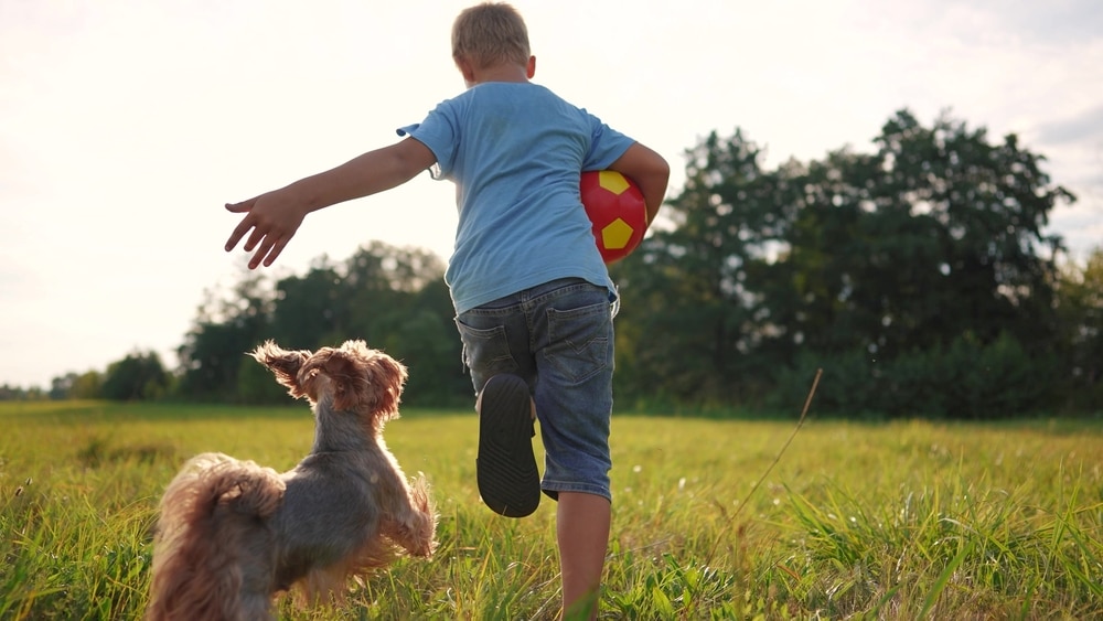 A boy in a blue shirt and jeans runs through a grassy field, holding a red and yellow soccer ball, as if training to be the next star vet. A small dog joyfully runs alongside him. Trees and a bright sky provide the perfect backdrop for this budding veterinarian’s adventure.